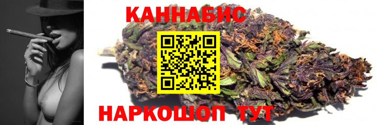 Каннабис конопля Сунжа